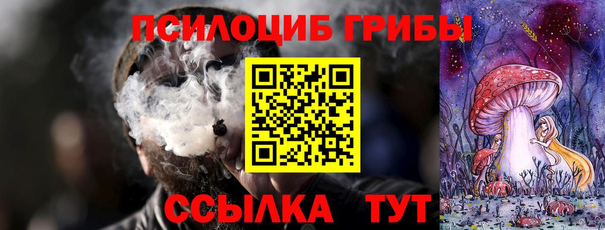 Псилоцибиновые грибы ЛСД Конаково
